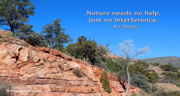 Nature Needs...